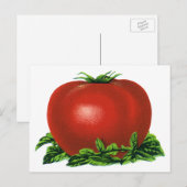  Rood Tomaat, groenten en fruit Briefkaart (Voorkant / Achterkant)