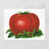  Rood Tomaat, groenten en fruit Briefkaart (Voorkant)