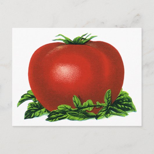  Rood Tomaat, groenten en fruit Briefkaart (Voorkant)