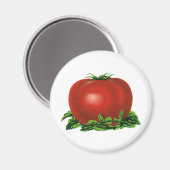 Rood Tomaat, groenten en fruit Magneet (Voorkant / Achterkant)