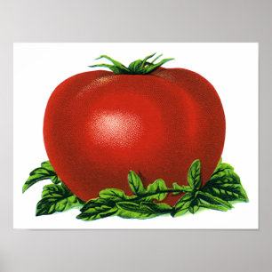 Rood Tomaat, groenten en fruit Poster