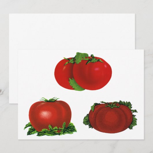  Rood Tomaten Levensmiddelen, vruchten en groenten (Voorkant / Achterkant)