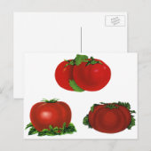  Rood Tomaten Levensmiddelen, vruchten en groenten Briefkaart (Voorkant / Achterkant)