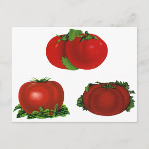 Rood Tomaten Levensmiddelen, vruchten en groenten Briefkaart