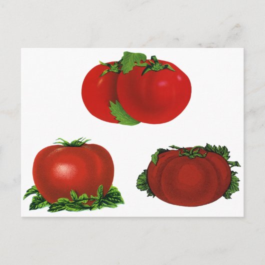  Rood Tomaten Levensmiddelen, vruchten en groenten Briefkaart (Voorkant)