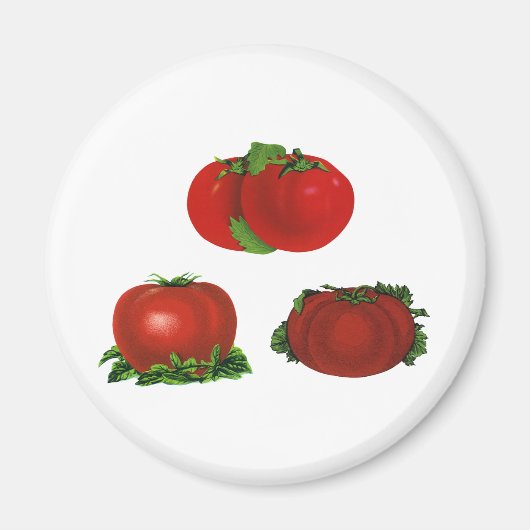  Rood Tomaten Levensmiddelen, vruchten en groenten Magneet (Voorkant)