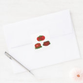  Rood Tomaten Levensmiddelen, vruchten en groenten Vierkante Sticker (Envelop)
