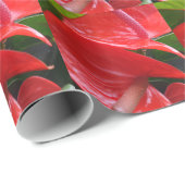 Rood trappelpapier cadeaupapier (Rol Hoek)