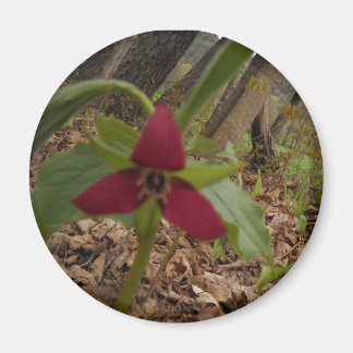 Rood trillium magneet
