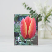 Rood Tulp en regendruppels zijn voor u geschikt Briefkaart (Staand voorkant)