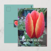 Rood Tulp en regendruppels zijn voor u geschikt Briefkaart (Voorkant / Achterkant)