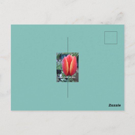 Rood Tulp en regendruppels zijn voor u geschikt Briefkaart (Achterkant)