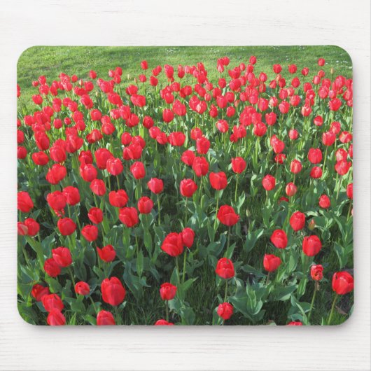 Rood Tulpen 01 Muismat (Voorkant)