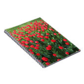Rood Tulpen 01 Notitieboek (Rechterzijde)