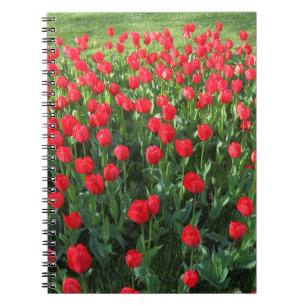 Rood Tulpen 01 Notitieboek