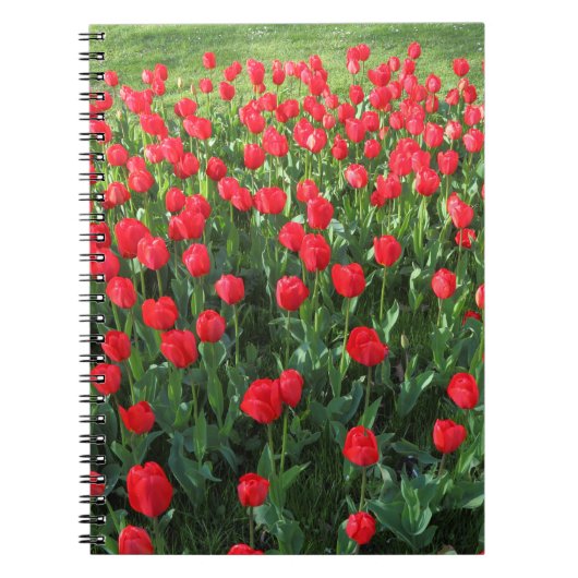 Rood Tulpen 01 Notitieboek (Voorkant)