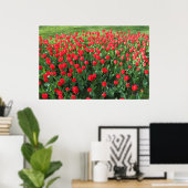 Rood Tulpen 01 Poster (Thuiskantoor)