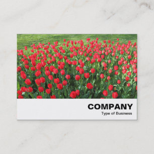 Rood Tulpen 01 Visitekaartje