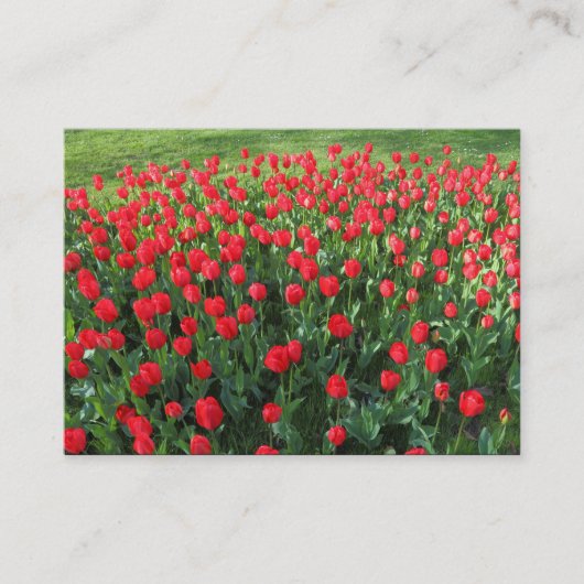 Rood Tulpen 01 Visitekaartje (Voorkant)