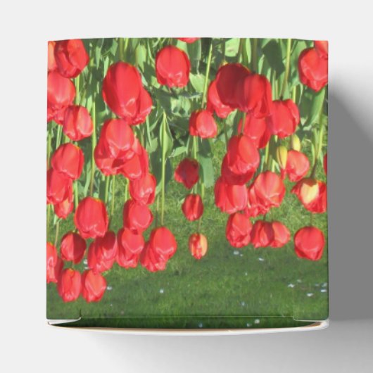 Rood Tulpen 02 Bedankdoosjes (Bovenkant)