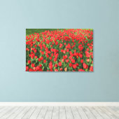 Rood Tulpen 02 Canvas Afdruk (Insitu (Houten vloer))