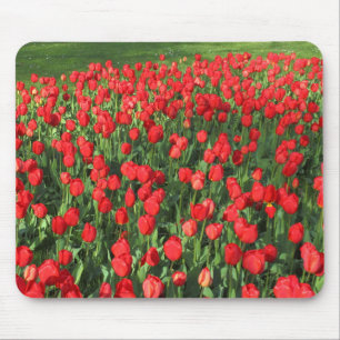 Rood Tulpen 02 Muismat