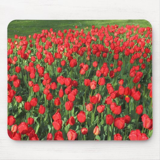 Rood Tulpen 02 Muismat (Voorkant)