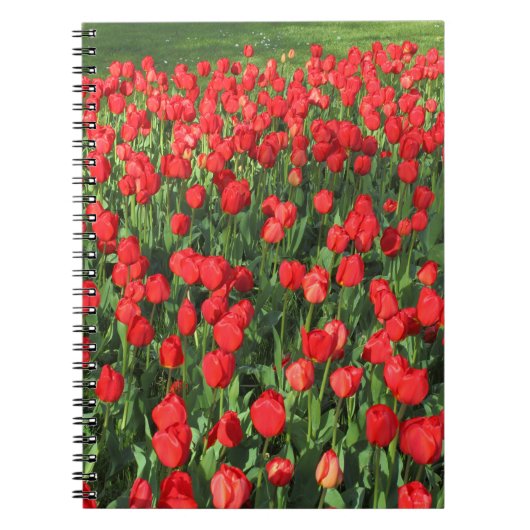 Rood Tulpen 02 Notitieboek (Voorkant)