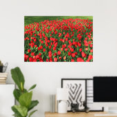 Rood Tulpen 02 Poster (Thuiskantoor)