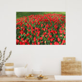 Rood Tulpen 02 Poster (Keuken)