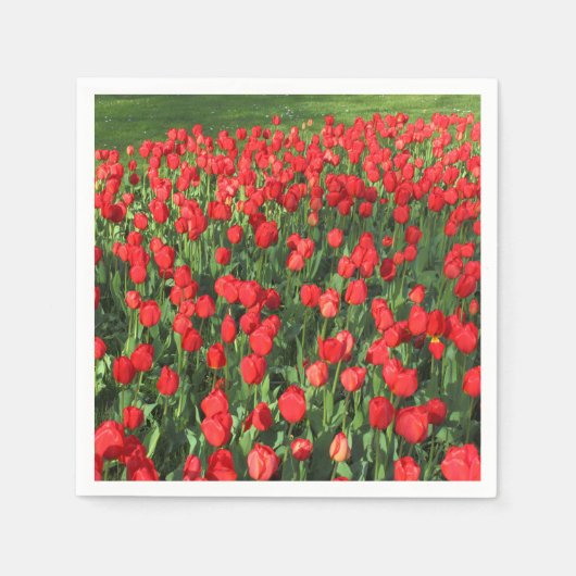 Rood Tulpen 02 Servetten (Voorkant)