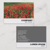 Rood Tulpen 02 Visitekaartje (Voorkant / Achterkant)