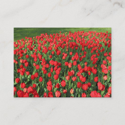 Rood Tulpen 02 Visitekaartje (Voorkant)