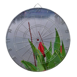 Rood Tulps Blue Lake Arrowiad water Dartbord