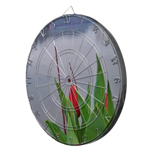 Rood Tulps Blue Lake Arrowiad water Dartbord (Voorkant Rechts)