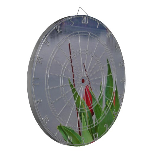 Rood Tulps Blue Lake Arrowiad water Dartbord (Voorkant Links)