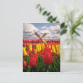 Rood Tulpveld, Oregon-bloemen Briefkaart (Staand voorkant)