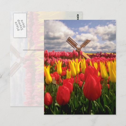 Rood Tulpveld, Oregon-bloemen Briefkaart (Voorkant / Achterkant)