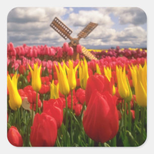 Rood Tulpveld, Oregon-bloemen Vierkante Sticker