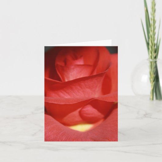 Rood van de baksteen nam de Kaart van de Nota toe (Voorkant)