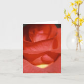 Rood van de baksteen nam de Kaart van de Nota toe (Gele Bloem)