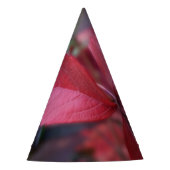 Rood van herfst feesthoedjes (Voorkant)