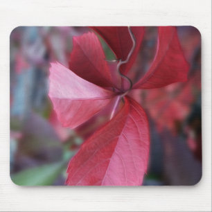 Rood van herfst muismat