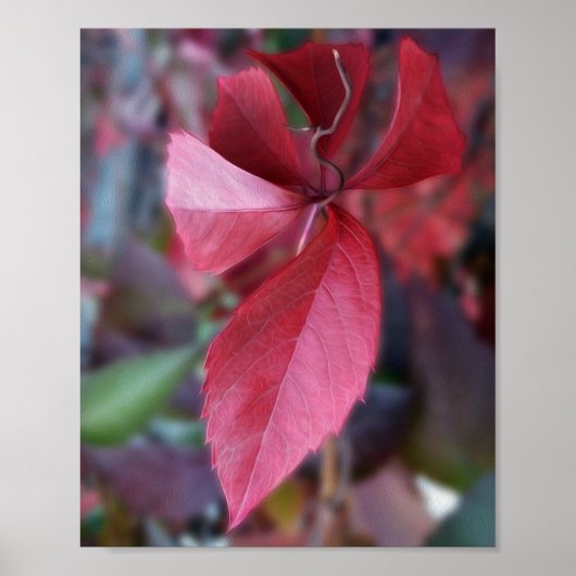 Rood van herfst poster (Voorkant)