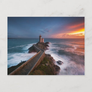 Rood van Pleasure Briefkaart