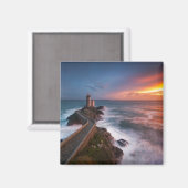 Rood van Pleasure Magneet (Voorkant / Achterkant)