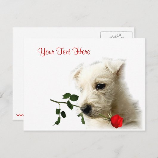 Rood van Westie nam het Ontwerp van Valentijn toe Feestdagenkaart (Voorkant / Achterkant)