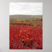 Rood Veld Poster (Voorkant)