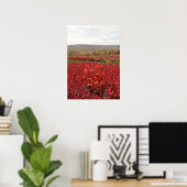 Rood Veld Poster (Thuiskantoor)