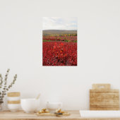 Rood Veld Poster (Keuken)